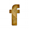 facebook_logo.png